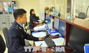 Thu thuế khởi sắc nhờ hoạt động xuất nhập khẩu giữ đà tăng