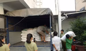 Nhức nhối nạn nhập lậu đường qua biên giới