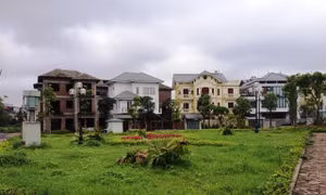 Đánh thuế tài sản để ngăn ngừa tham nhũng, chống đầu cơ bất động sản