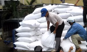 Xuất gạo hỗ trợ nhân dân bị ảnh hưởng do thiên tai, dịch bệnh tại Nghệ An 