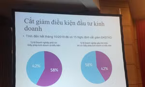 Chất lượng việc cắt giảm điều kiện kinh doanh phụ thuộc rất lớn vào người đứng đầu