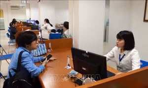 Doanh nghiệp phải áp dụng hóa đơn điện tử khi nào?