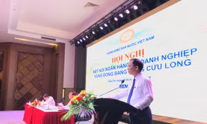 Gỡ vướng vốn tín dụng cho doanh nghiệp Đồng bằng sông Cửu Long