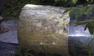 Các thủ phạm vụ án 'xác chết trong bê tông' sẽ phải đối diện với án tử hình