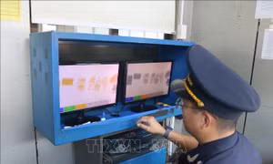  Gian nan trong kiểm soát hàng giả, hàng xâm phạm quyền sở hữu trí tuệ 