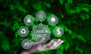 Vận hành thí điểm Sàn giao dịch carbon