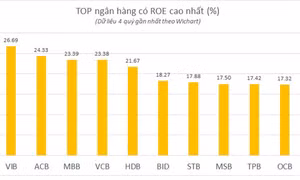 Ngân hàng nào đang dẫn đầu hiệu quả hoạt động và quản trị chi phí?