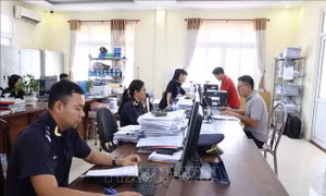 Hải quan tiếp tục đơn giản, tự động hóa quy trình nghiệp vụ
