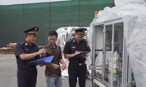 Thí điểm hỗ trợ doanh nghiệp tuân thủ pháp luật hải quan