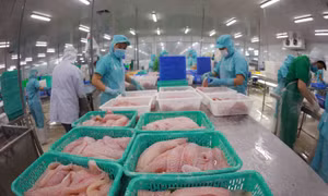 Phục hồi nhanh, doanh nghiệp đang ‘khát’ vốn