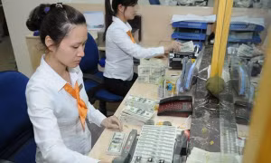 Đề xuất bổ sung Quyền rút vốn đặc biệt vào dự trữ ngoại hối nhà nước