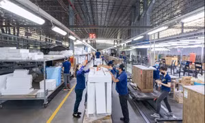 Loạt doanh nghiệp mạnh tay chia tiền cho cổ đông