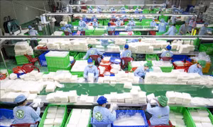 Cấp bách hỗ trợ doanh nghiệp sau bão lũ