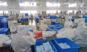 Doanh nghiệp xoay xở vượt khó