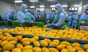  Hoàn thiện thể chế tạo động lực tăng trưởng 