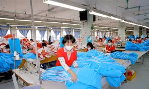 Khoảng 98% tổng số doanh nghiệp được giãn thuế, tiền thuê đất