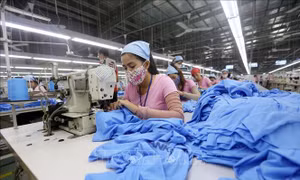 Hiệp định EVFTA - Bài 2: Giải pháp về nguồn cung nguyên liệu