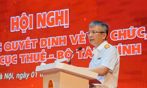 Trong thời gian chuyển đổi, bố trí người trực 24/7 để hỗ trợ người nộp thuế 