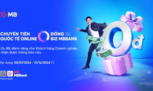 Tối ưu hóa hiệu quả tài chính trên BIZ MBBank