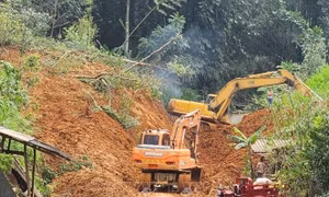 Người dân 3 huyện tỉnh Bắc Kạn được nhận hỗ trợ 150 tấn gạo