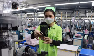 Gia tăng các vụ buôn lậu có dấu hiệu hình sự 
