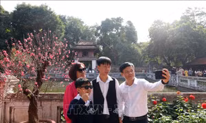 Nổi bật tuần: Đón Tết Nguyên đán vui tươi; hướng tới kỷ niệm 95 năm ngày thành lập Đảng