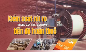 Tin tức TV: Kiểm soát rủi ro nhưng vẫn phải đảm bảo tiến độ hoàn thuế