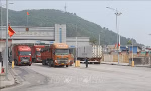 Hải quan thông tin ‘không bắt buộc khai báo 100% thành phần hóa chất khi nhập khẩu’ 