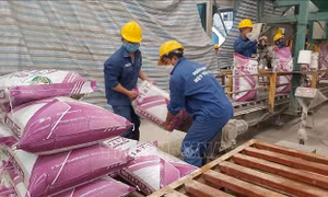 Giải pháp nào ổn định thị trường khi giá phân bón dự kiến vẫn tăng?