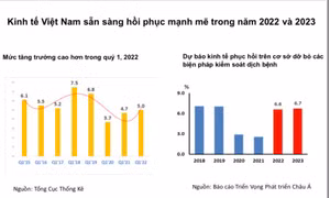 Nhờ bao phủ vaccine, ADB dự báo GDP Việt Nam phục hồi ở mức 6,5%