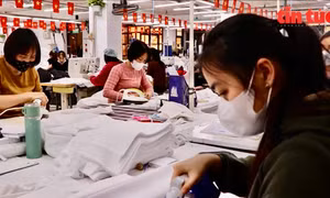 Gỡ vướng thể chế, hỗ trợ doanh nghiệp để đạt mục tiêu GDP trên 8%