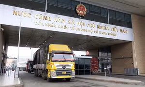 Tạo điều kiện để doanh nghiệp thông quan nhanh khi Trung Quốc mở cửa trở lại 