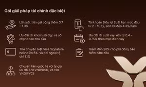 Gia tăng lợi nhuận đầu tư, nhân đôi đặc quyền cùng VIB Privilege Banking