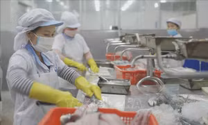 Tiếp tục giảm thuế, phí, tạo nguồn lực cho doanh nghiệp phục hồi 