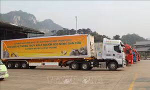 Hàng loạt ngân hàng giảm lãi vay, hỗ trợ doanh nghiệp và người dân