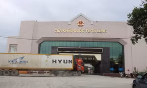 Hải quan nỗ lực không để gián đoạn hoạt động xuất nhập khẩu