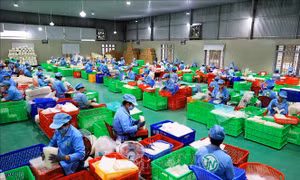 Thanh, kiểm tra giúp doanh nghiệp tuân thủ chứ không đặt mục tiêu ‘triệt tiêu’ 