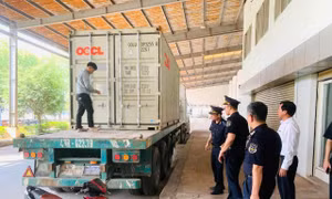 Hơn 300.000 bao thuốc lá giả mạo nhãn hiệu đã được bảo hộ quyền sở hữu trí tuệ 