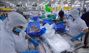 Tín hiệu tích cực trong thu hút vốn đầu tư nước ngoài