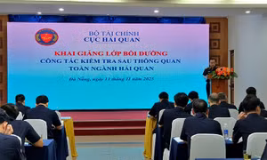 Bồi dưỡng kiến thức cho công chức hải quan 'kiểm tra sau thông quan'