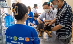  Lan tỏa nhận thức, phòng chống dịch bệnh từ việc buôn bán thịt chó, mèo 