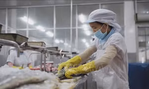  Quy định mới về miễn thuế thu nhập doanh nghiệp, thuế thu nhập cá nhân 