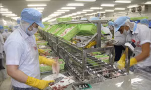 Tiền Giang hướng dẫn doanh nghiệp thực hiện các phương án sản xuất, kinh doanh