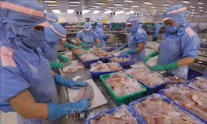 Doanh nghiệp ‘ngóng’ giảm điều kiện vay vốn, ngân hàng lo nợ xấu