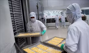 Doanh nghiệp e ngại ‘động vào đâu cũng sai'