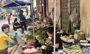 Giá xăng dầu liên tiếp hạ, thị trường hàng thiết yếu giảm chậm