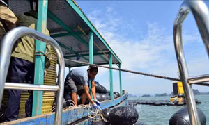 Ngân hàng rà soát mức độ thiệt hại do bão số 3 để minh bạch hỗ trợ 