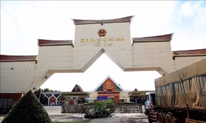 Xuất nhập khẩu phục hồi, thu ngân sách tăng 17,2% 