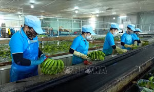 Đề xuất điều chỉnh các văn bản pháp luật trên tinh thần Nghị quyết 68-NQ/TW