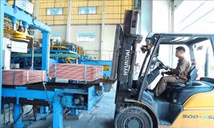  Ngân hàng giảm lãi suất cho vay, kiến nghị có thêm hướng dẫn cơ cấu nợ 